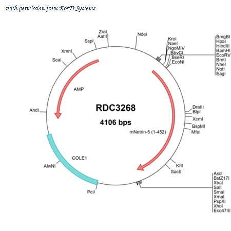 R&D Systems RDC3268 image 1