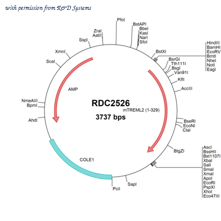 R&D Systems RDC2526 image 1