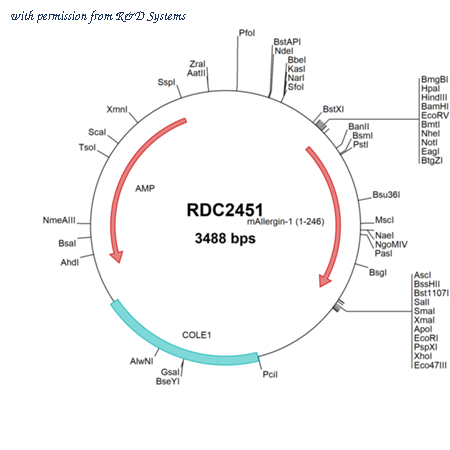 R&D Systems RDC2451 image 1