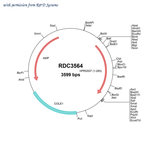 R&D Systems RDC3564 image 1