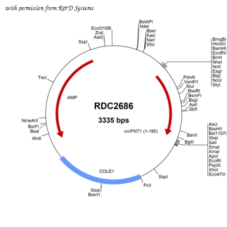 R&D Systems RDC2686 image 1