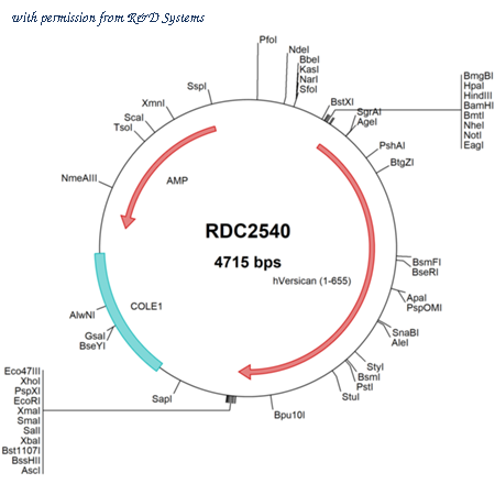 R&D Systems RDC2540 image 1