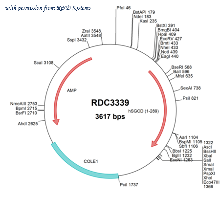 R&D Systems RDC3339 image 1