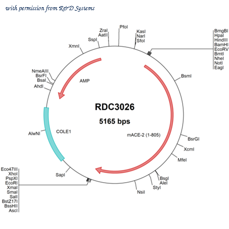 R&D Systems RDC3026 image 1
