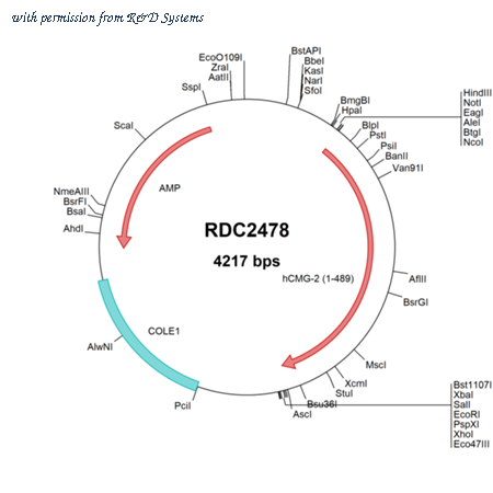 R&D Systems RDC2478 image 1