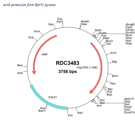 R&D Systems RDC3483 image 1
