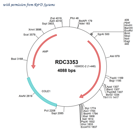 R&D Systems RDC3353 image 1