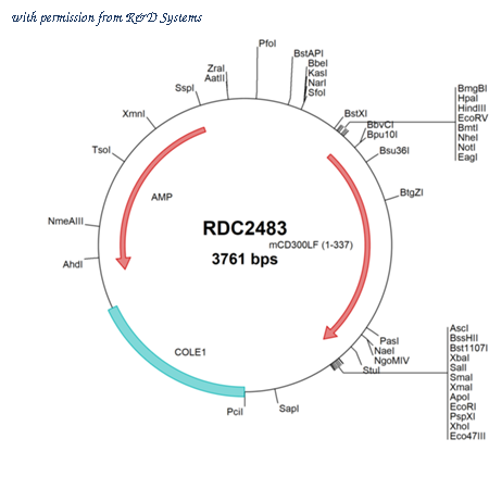 R&D Systems RDC2483 image 1