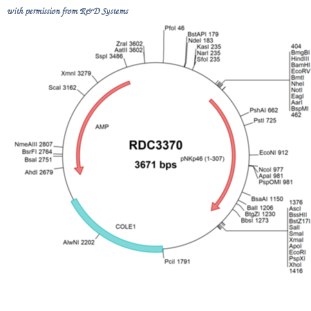 R&D Systems RDC3370 image 1