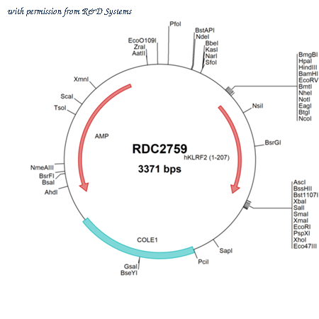 R&D Systems RDC2759 image 1