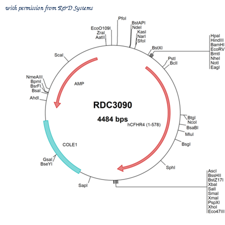 R&D Systems RDC3090 image 1