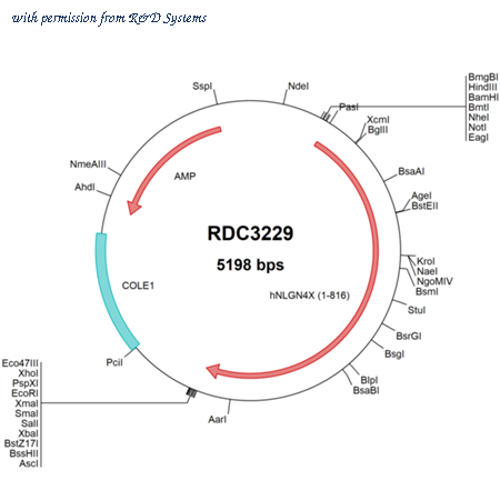 R&D Systems RDC3229 image 1