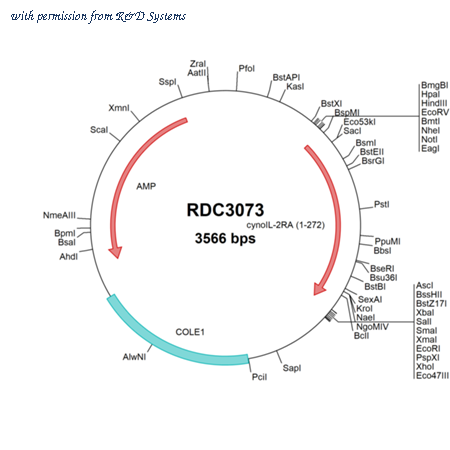 R&D Systems RDC3073 image 1