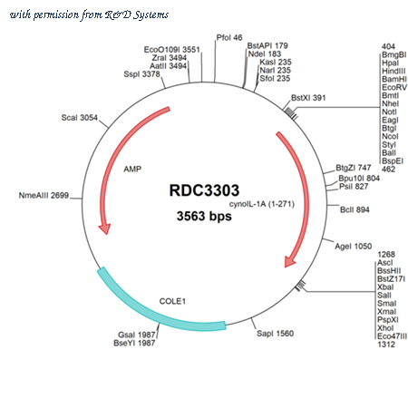 R&D Systems RDC3303 image 1