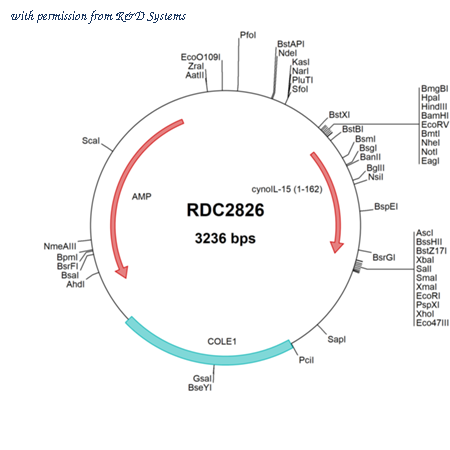 R&D Systems RDC2826 image 1