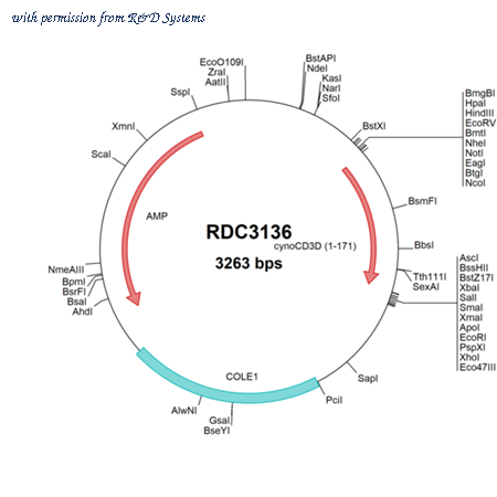 R&D Systems RDC3136 image 1