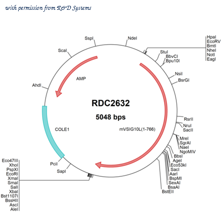 R&D Systems RDC2632 image 1