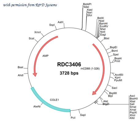R&D Systems RDC3406 image 1