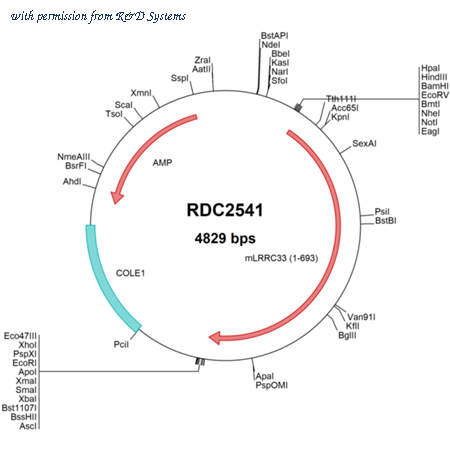 R&D Systems RDC2541 image 1