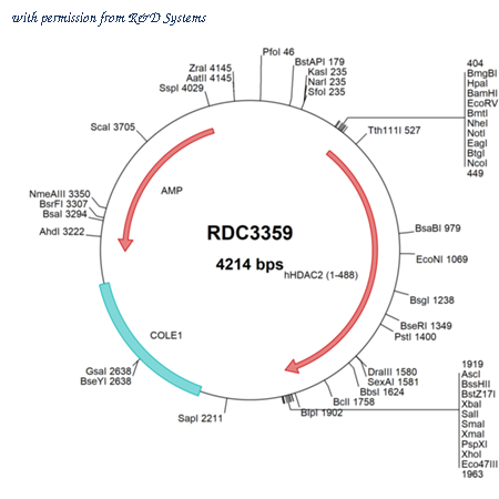 R&D Systems RDC3359 image 1