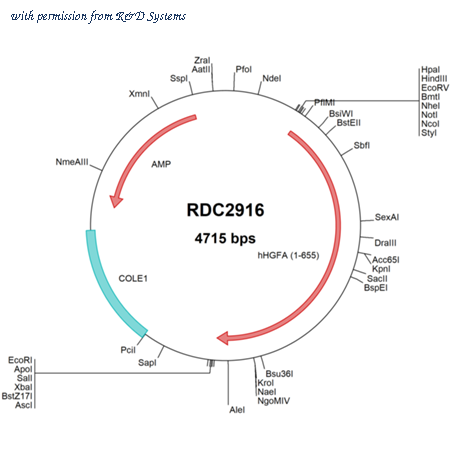 R&D Systems RDC2916 image 1