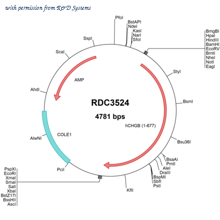 R&D Systems RDC3524 image 1
