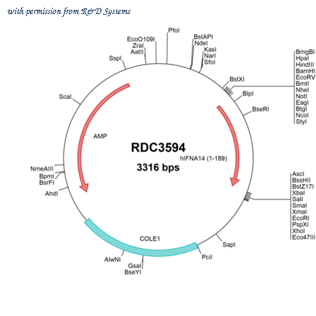 R&D Systems RDC3594 image 1