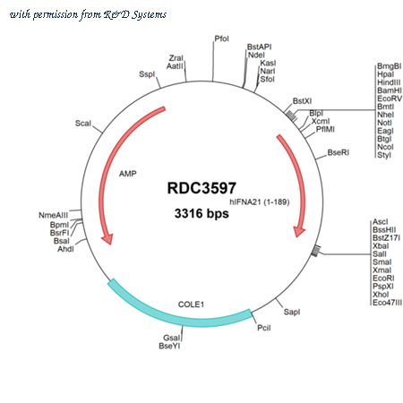 R&D Systems RDC3597 image 1