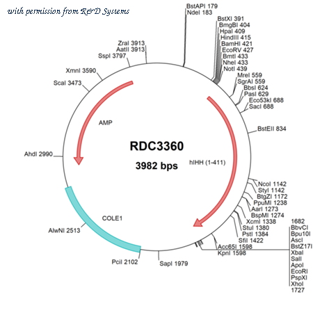 R&D Systems RDC3360 image 1