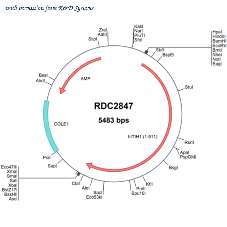R&D Systems RDC2847 image 1