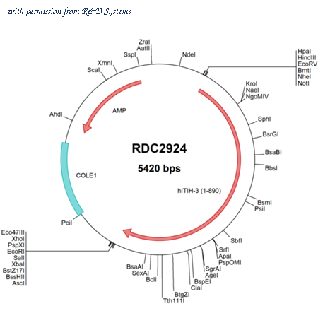 R&D Systems RDC2924 image 1