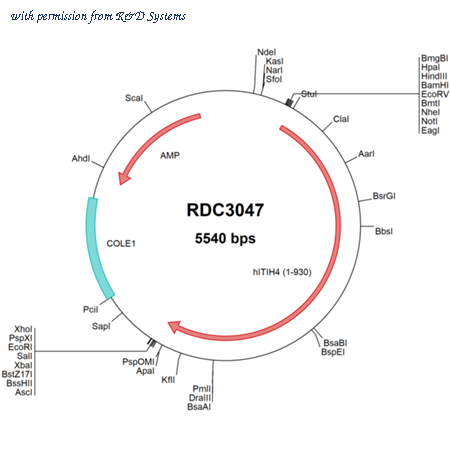 R&D Systems RDC3047 image 1