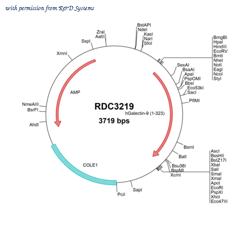 R&D Systems RDC3219 image 1