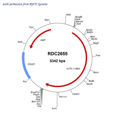 R&D Systems RDC2655 image 1