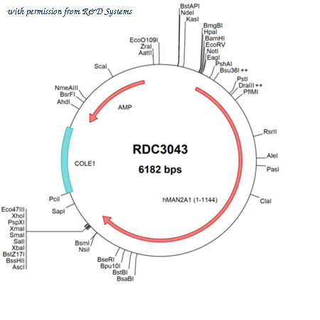 R&D Systems RDC3043 image 1
