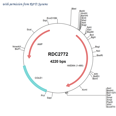 R&D Systems RDC2772 image 1