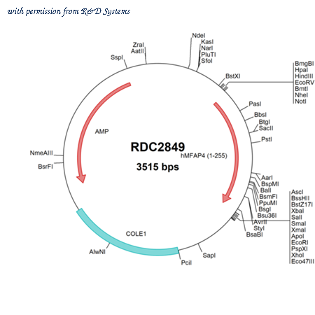 R&D Systems RDC2849 image 1