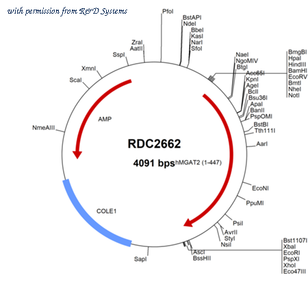 R&D Systems RDC2662 image 1