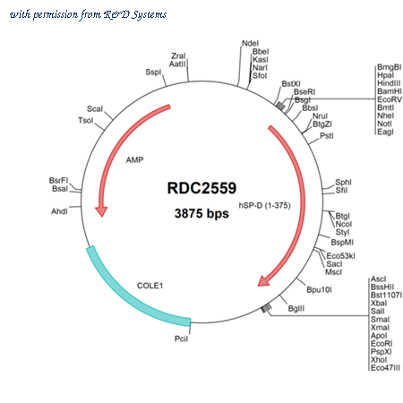 R&D Systems RDC2559 image 1