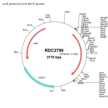 R&D Systems RDC2799 image 1