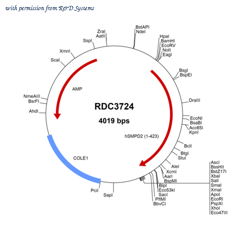 R&D Systems RDC3724 image 1
