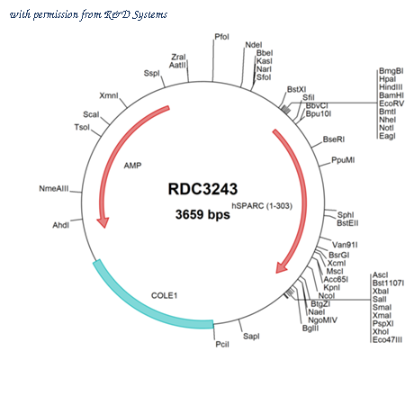 R&D Systems RDC3243 image 1