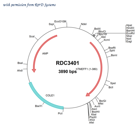 R&D Systems RDC3401 image 1