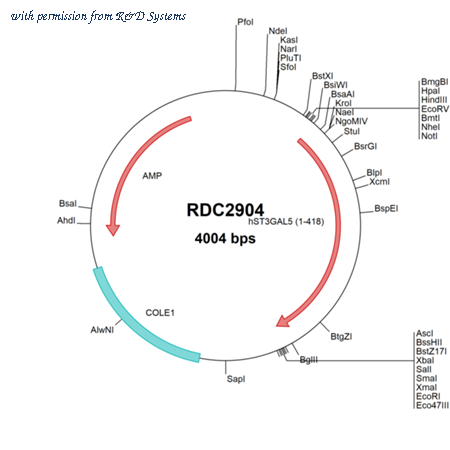R&D Systems RDC2904 image 1