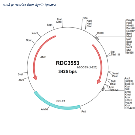 R&D Systems RDC3553 image 1