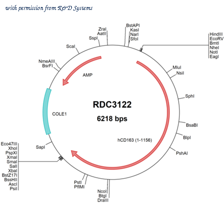 R&D Systems RDC3122 image 1