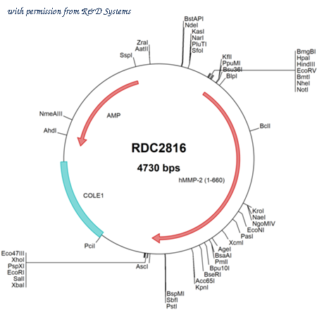 R&D Systems RDC2816 image 1