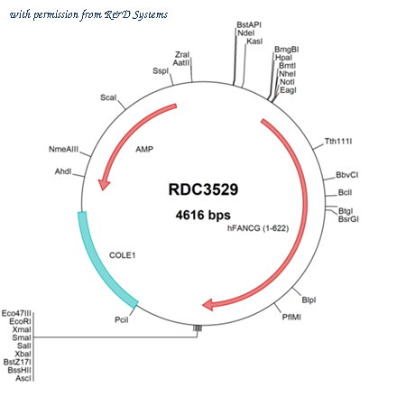 R&D Systems RDC3529 image 1