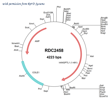 R&D Systems RDC2458 image 1