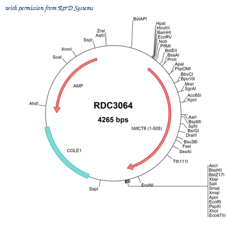 R&D Systems RDC3064 image 1